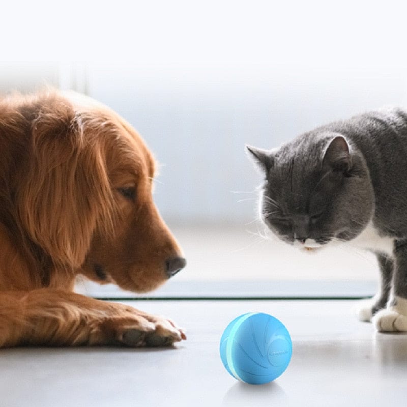 Cheerble Pet Toy Wicked ball 100% Automatic Jump Ball Smart Teaser Cat and Dog Toys Bite-resistant