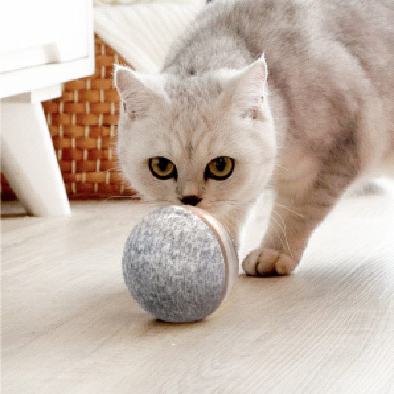 Cheerble Pet Toy Wicked ball 100% Automatic Jump Ball Smart Teaser Cat and Dog Toys Bite-resistant