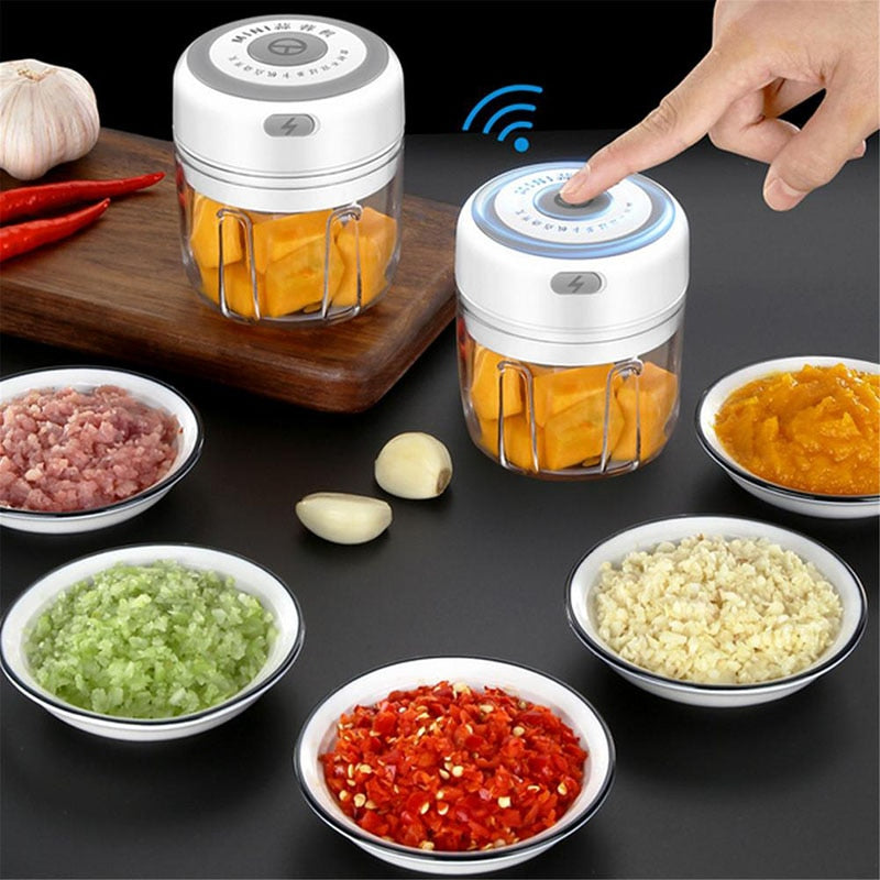 Electric Garlic Masher Mini Food Crusher Vegetable Chopper USB Gadgets